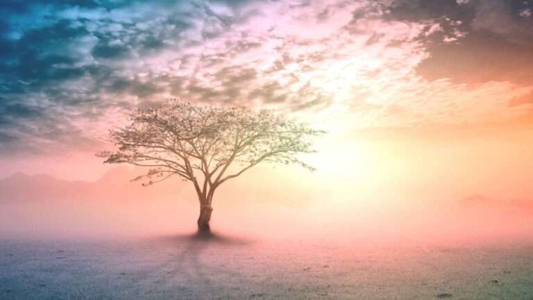 životna misija životna svrha